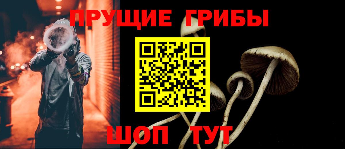 Ирбит  Псилоцибиновые грибы Cubensis  Псилоцибиновые грибы ЛСД  Вход с VPN 
